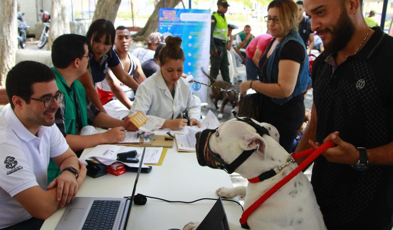 Multas Código Policía caninos peligrosos