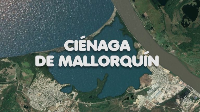 Panorámica aérea de cienaga de Mayorquín