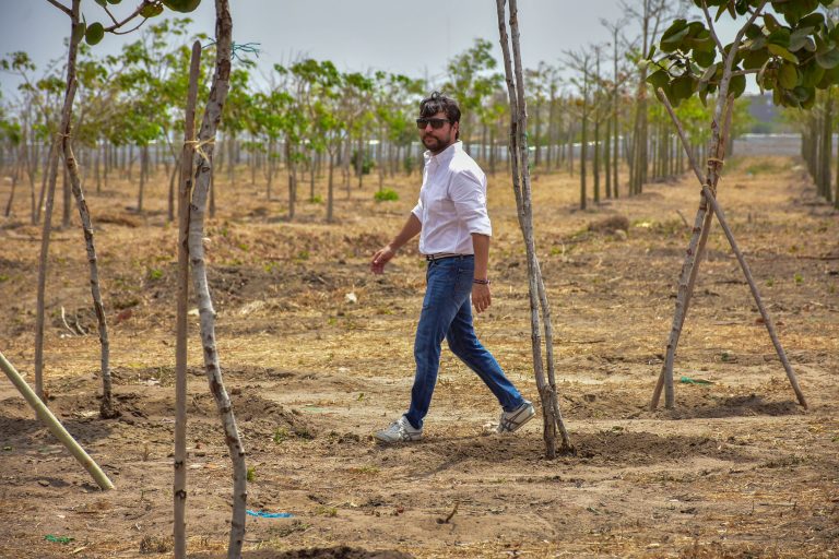 Con la entrega de este bosque ya son casi 16 hectáreas de espacios destinados al desarrollo de 15.714 árboles.