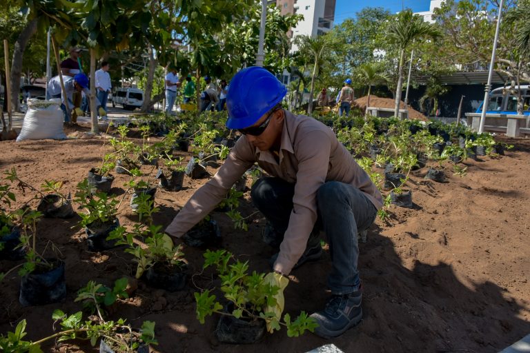 Siembra Barranquilla - Árboles - Ciudades Arboladas del Mundo