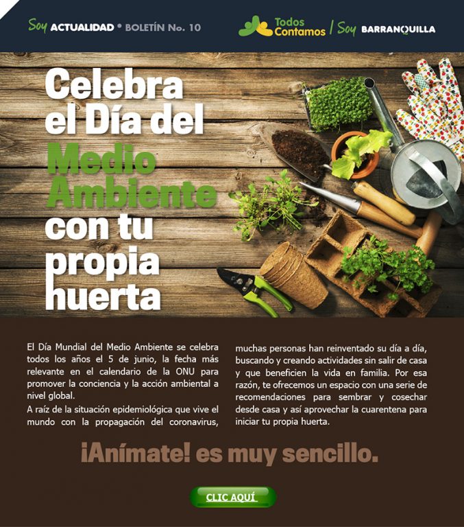 Flyer informativo sobre el dia del medio ambiente