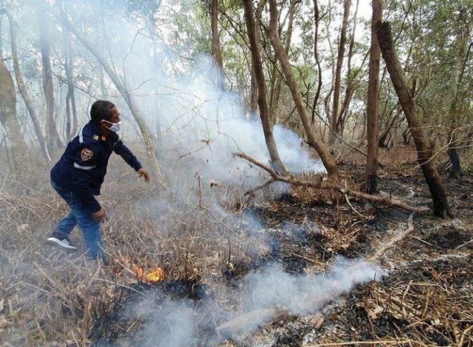 Pesona acercandose a restos de incendio en parque Salamanca