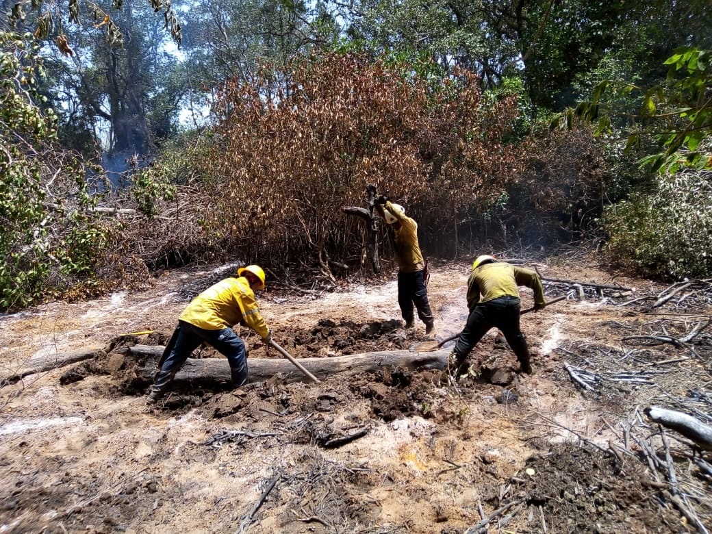 Bomberos atendiendo emergencia de incendio en Parque Salamanca