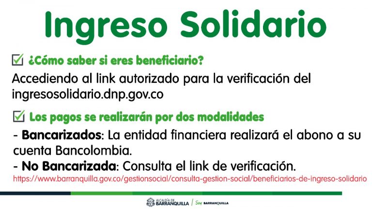 Infografía Ingreso Solidario.