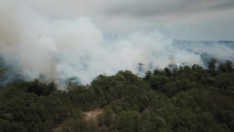 Incendio Isla Salamanca