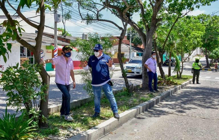 Boulevard arborizado