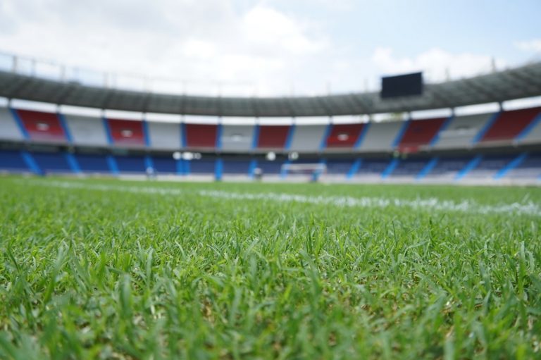 Cancha estadio Metropolitano