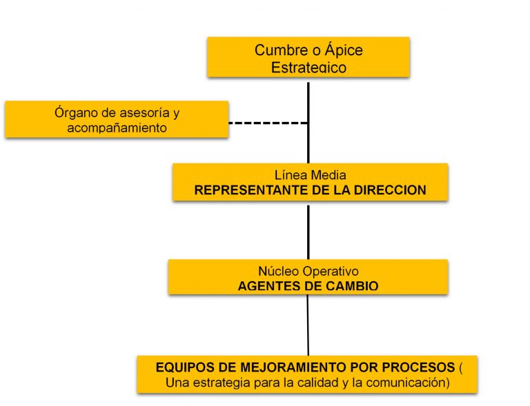 Infografia Organización de la Calidad