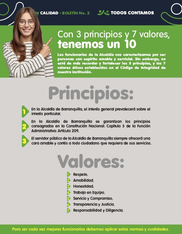 Infografía principios y valores institucionales