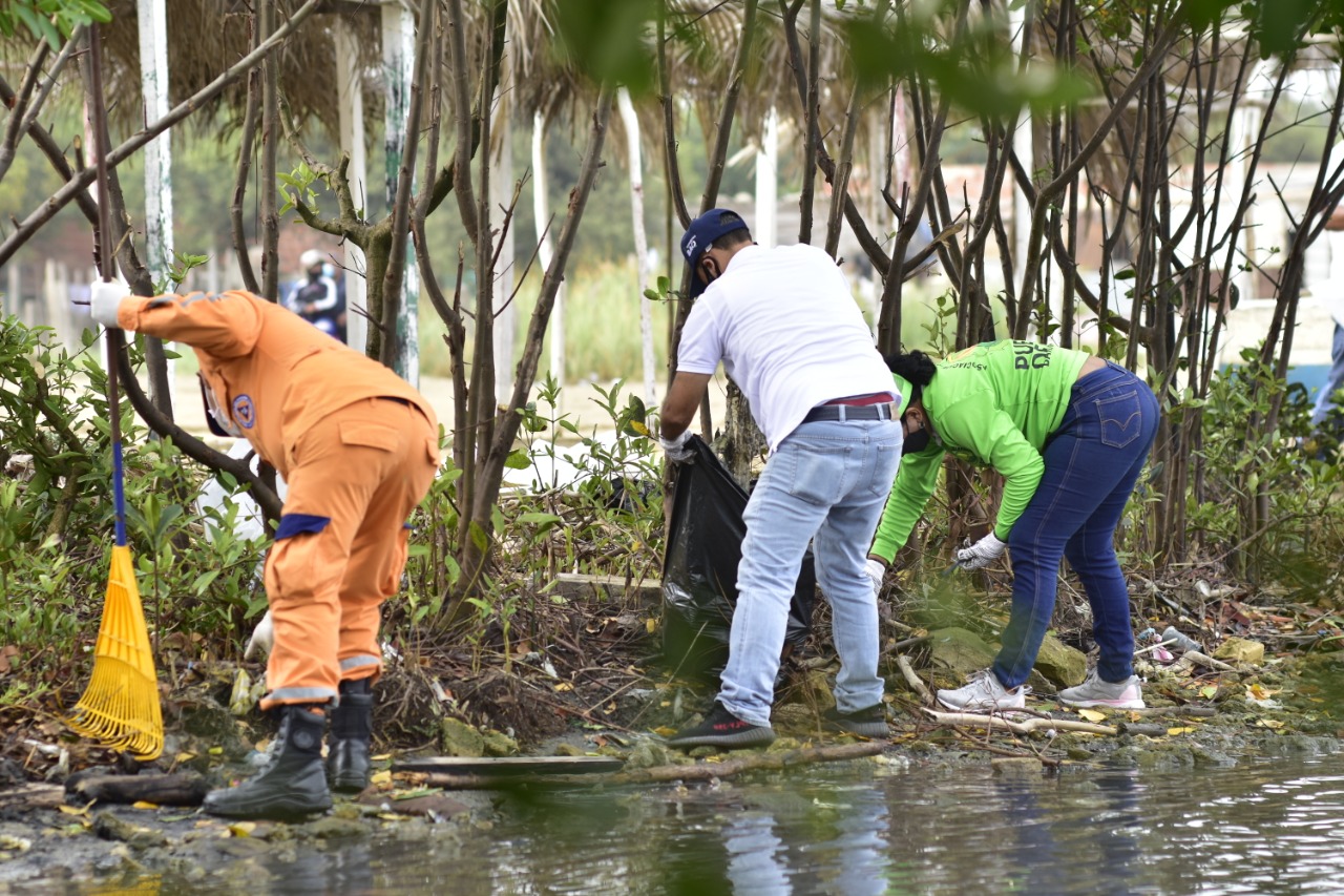 Funcionarios en jornada ambiental