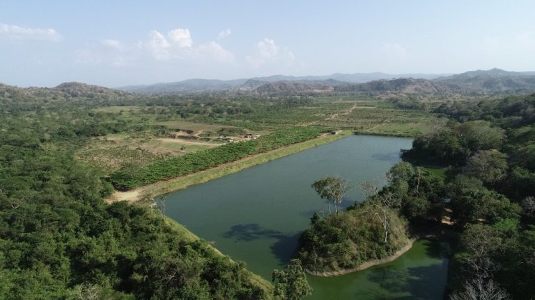 Vista aérea de un lago en medio de un bosque