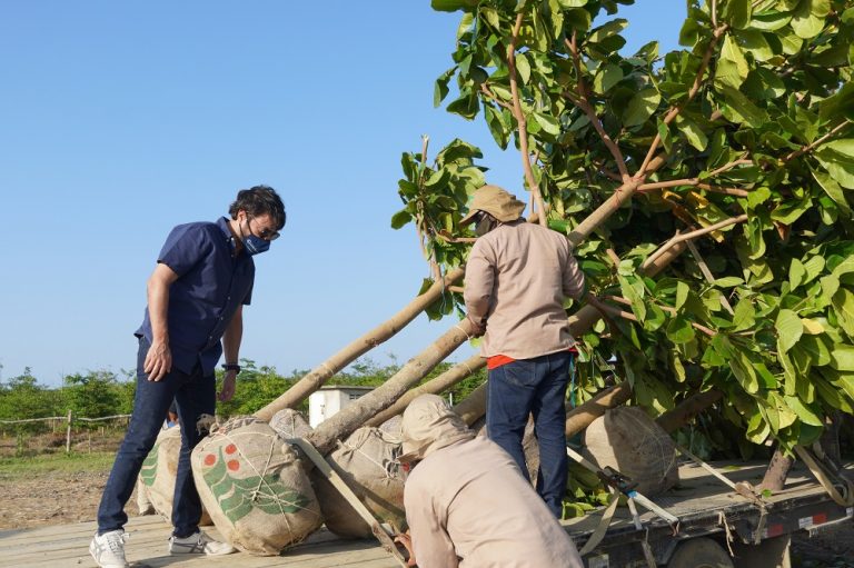 Alcalde Pumarejo inspeccionando siembra árboles