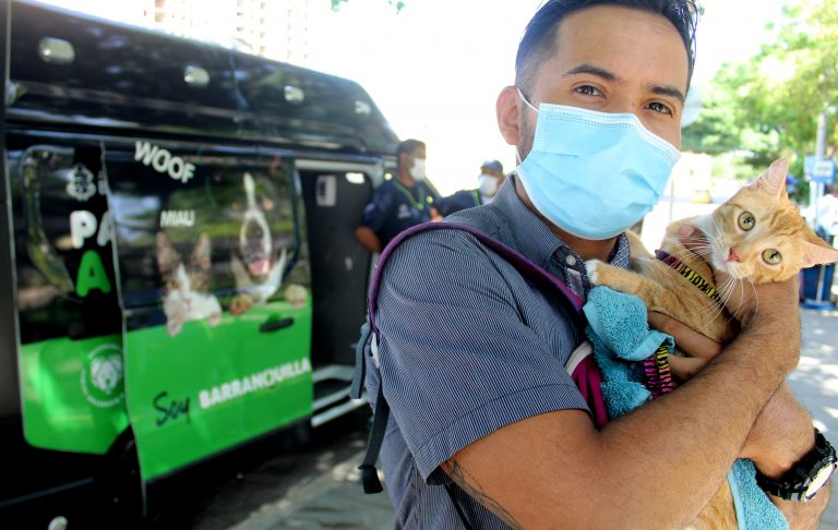 Hombre abraza a su mascota felina