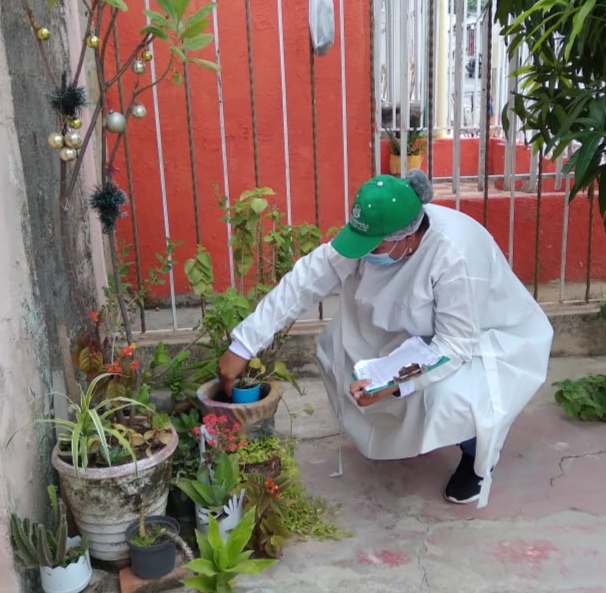 Funcionario revisando jardín con plantas