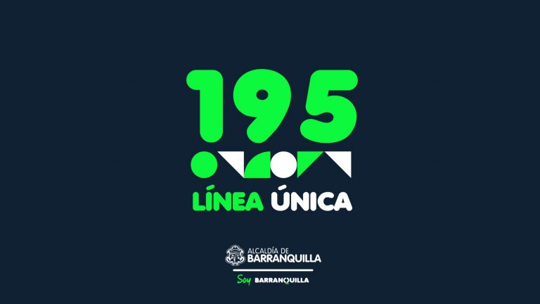 Banner linea 195