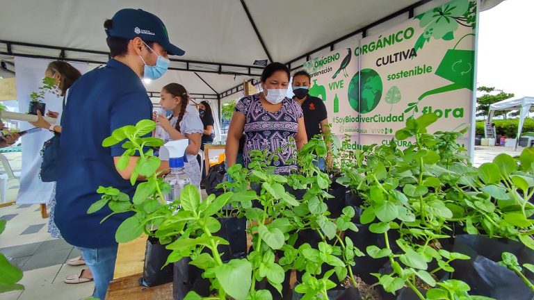 Asistentes Feria Ambiental Vivamos Verde