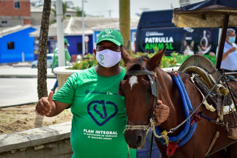 Carromulero posa con su yegua.