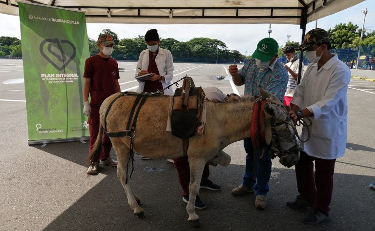 Funcionarios realizando jornada de evaluación a caballo.