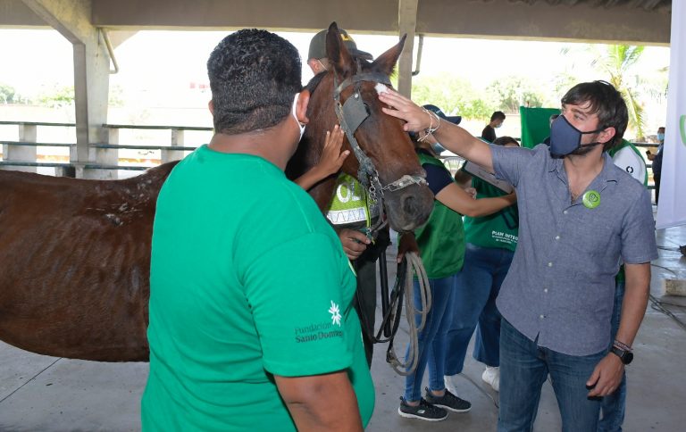 Alcalde tocando caballo.