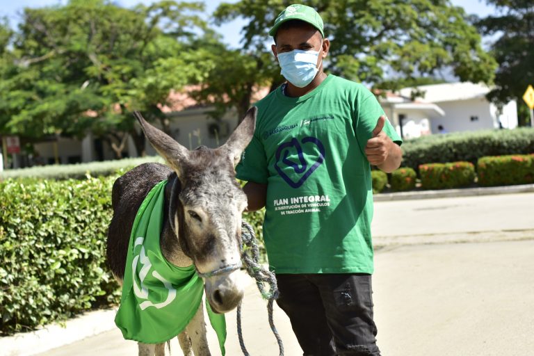 Ciudadano al lado de un burro