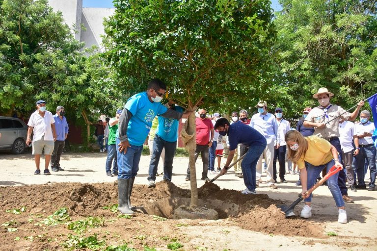 Gobernadora Elsa Noguera y el alcalde Jaime Pumarejo, sembrando árbol en la cancha del parque San Isidro