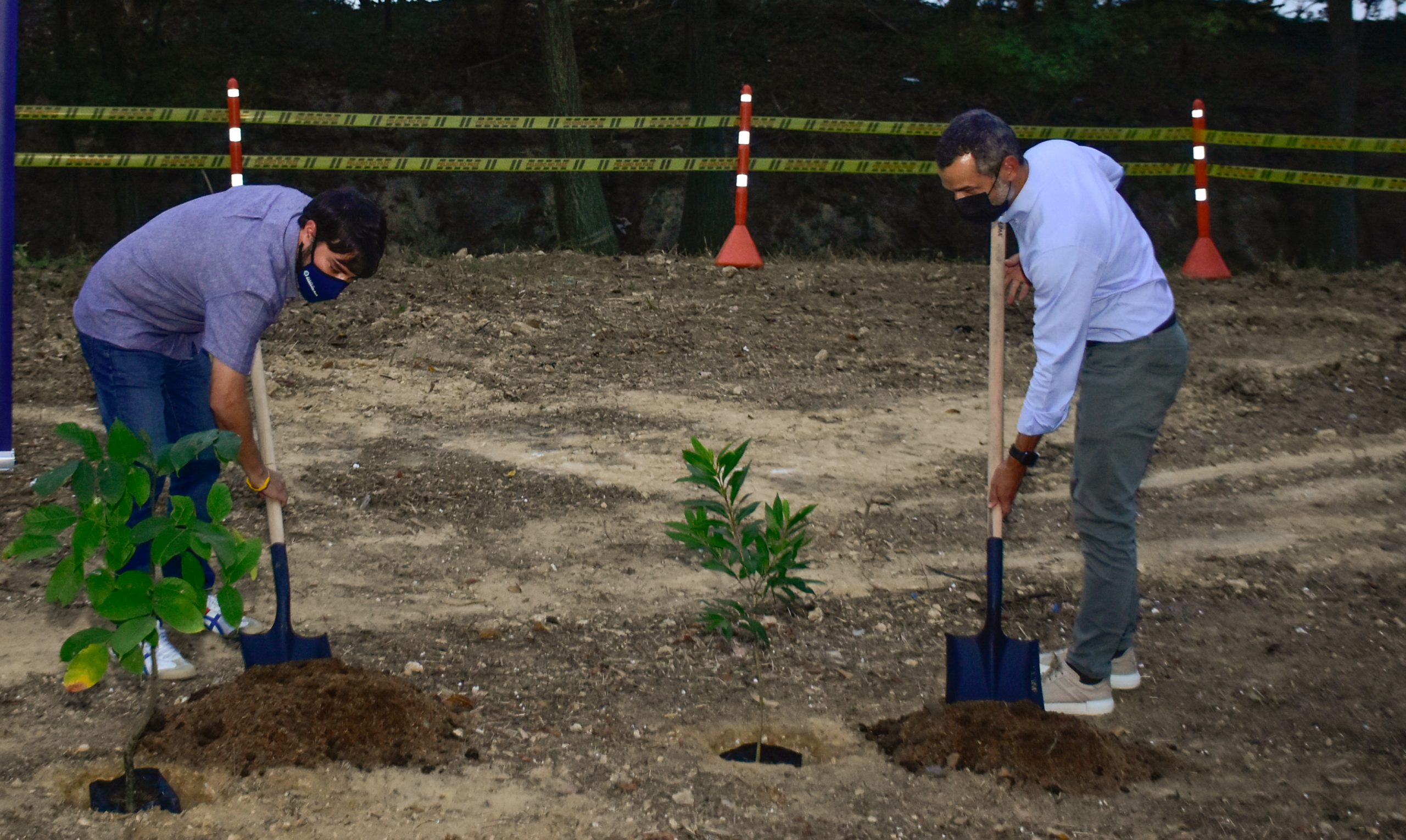 Alcalde Pumarejo sembrando un arbol en prolongación del parque La Castellana