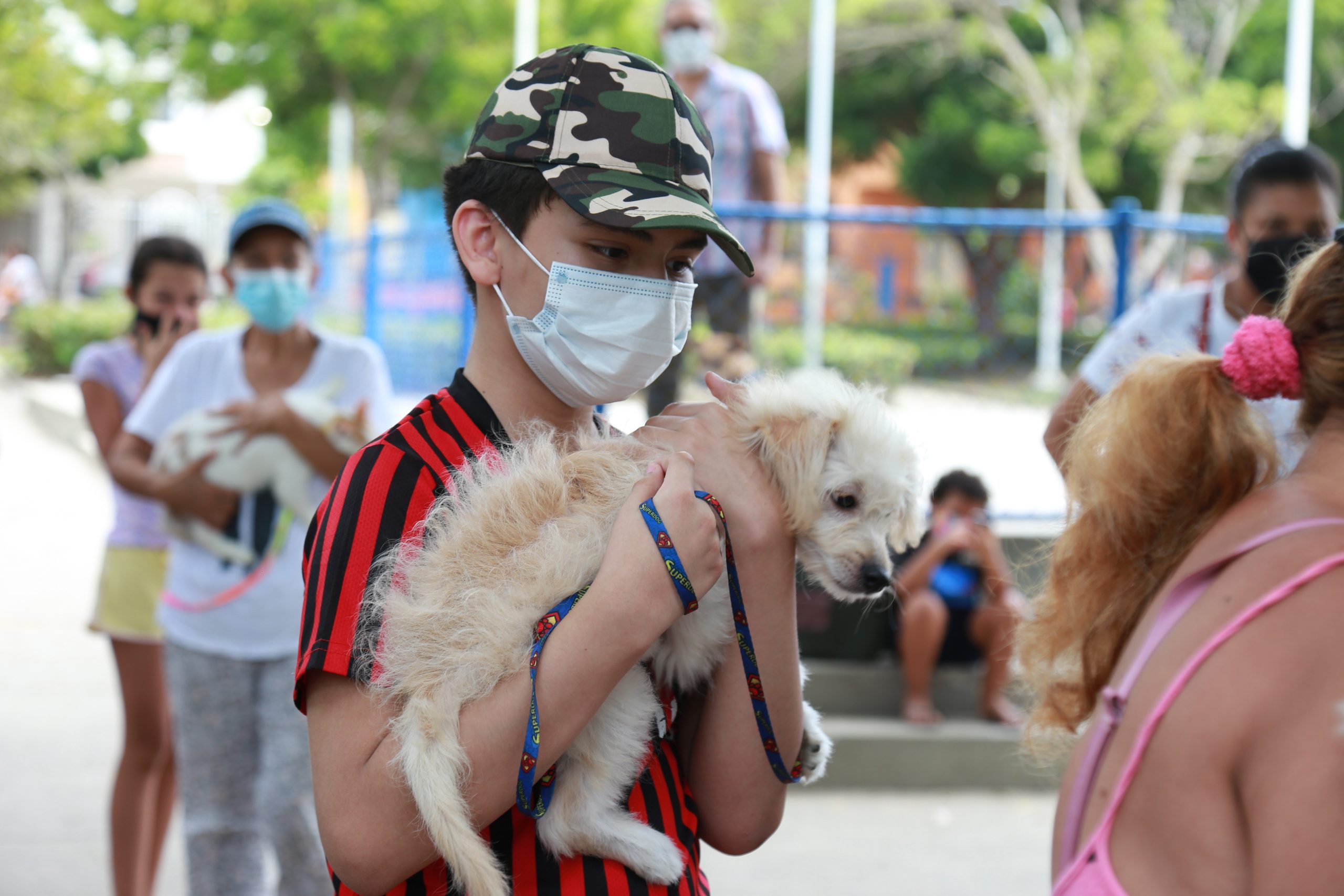 Vacunación de animales