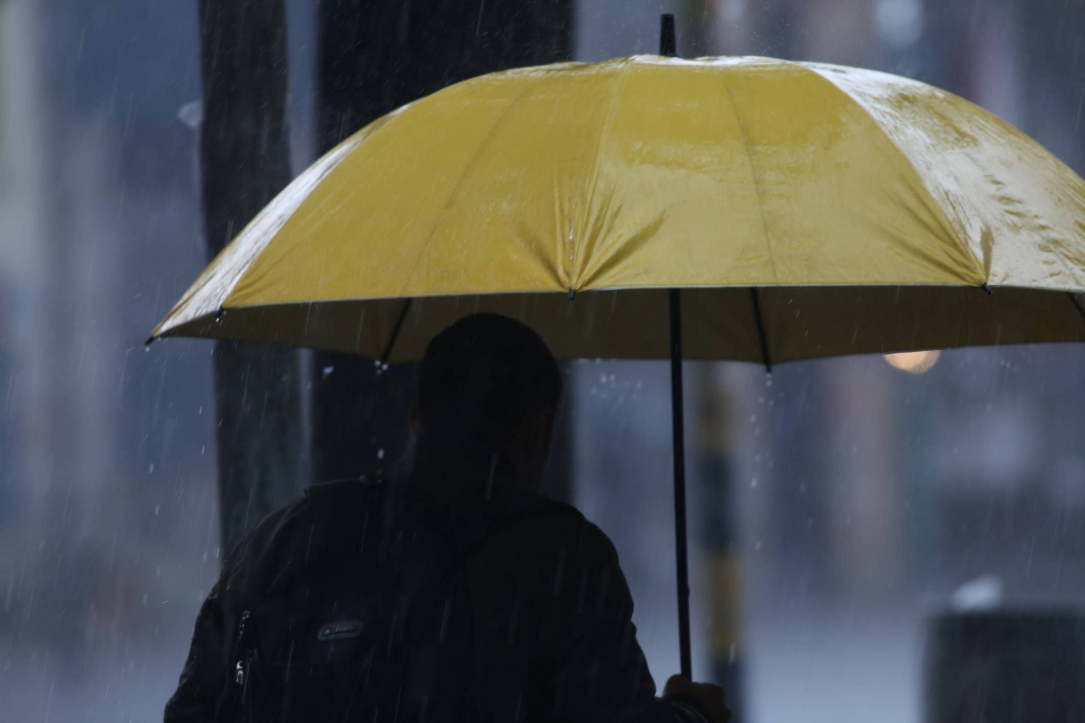 Mujer con paraguas bajo la lluvia