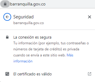 Captura de pantalla conexión segura 