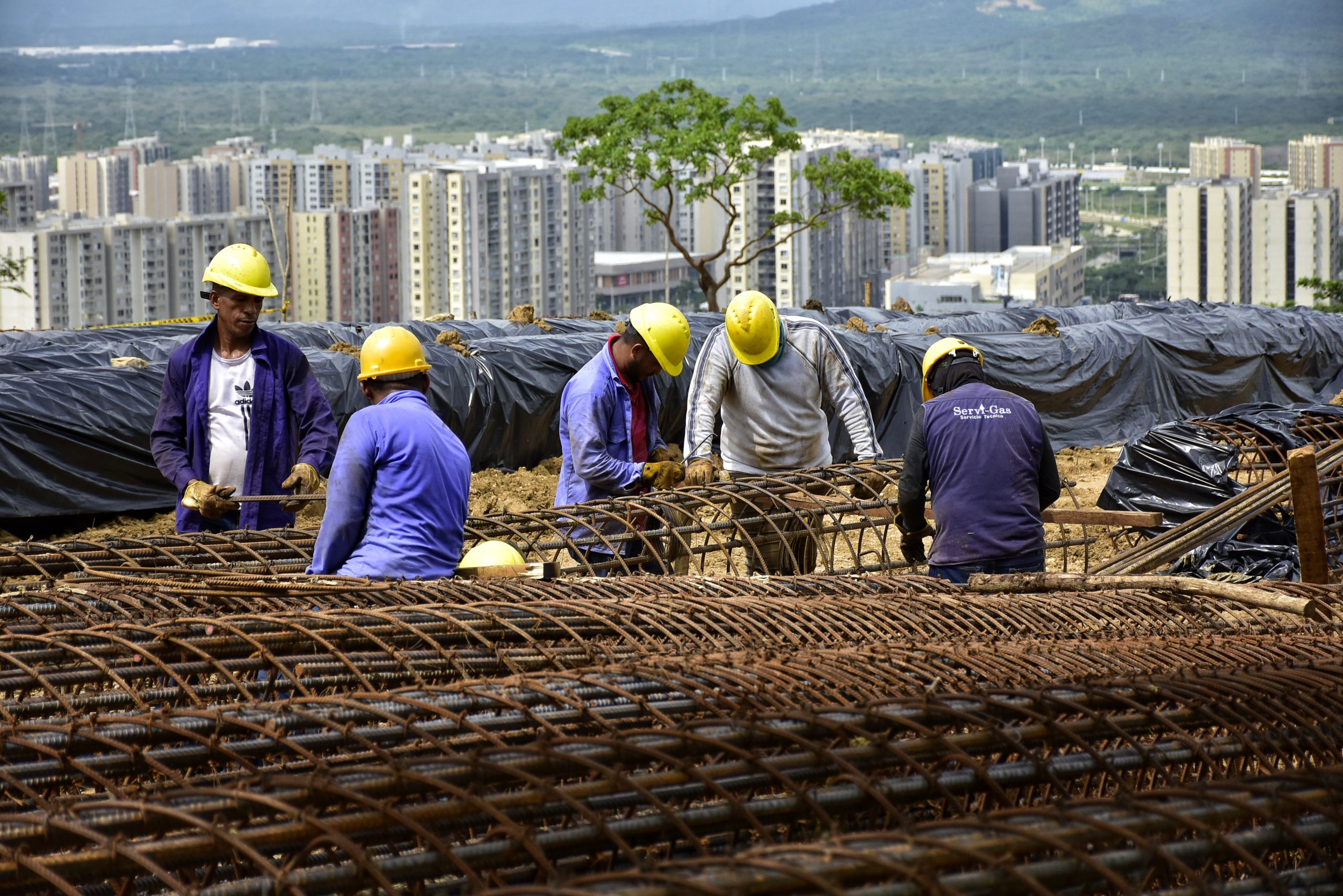 Hombres trabajando en Bosque Urbano Miramar