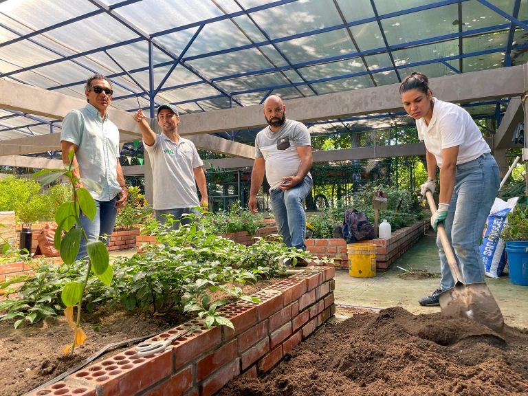 Funcionarios de Alcaldía y ciudadanos en jornadas de siembras