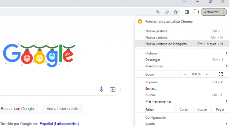 Captura de pantalla de google ventana privada