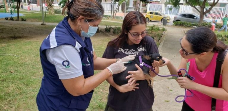 Mascota es vacunada en Jornada de Bienestar Animal