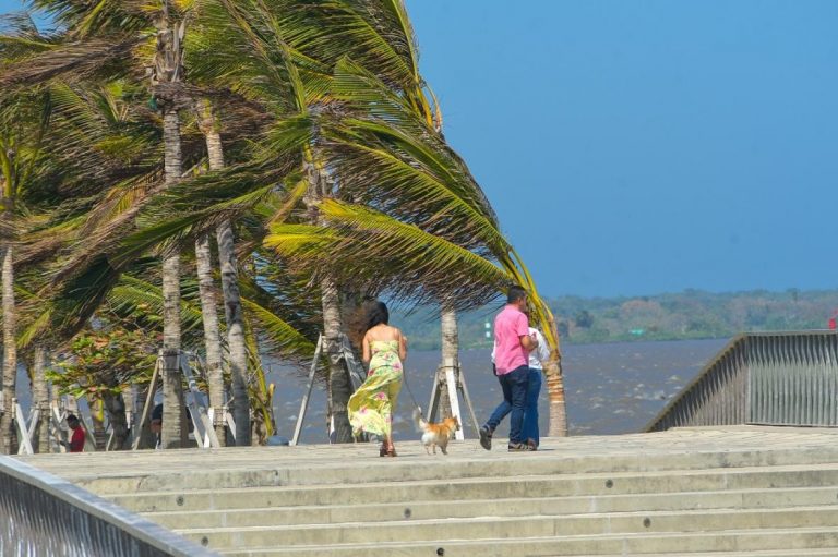 Personas caminando a orillas del rio fente a palmeras movidas por fuertes vientos