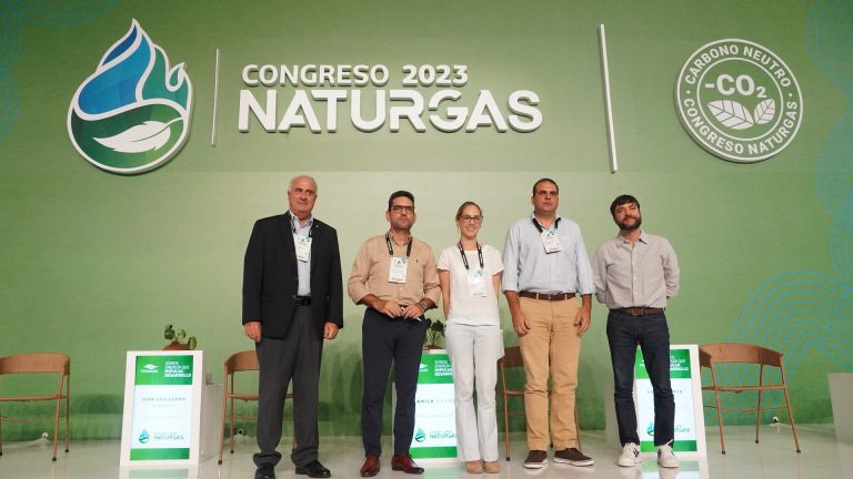 Panelista congreso naturgas