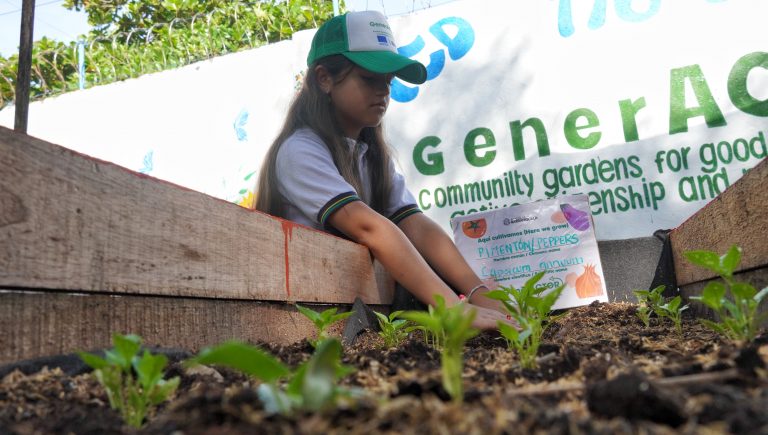 Niña con gorra sembrando plantas en huerta