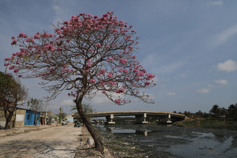 Puente de Barlovento