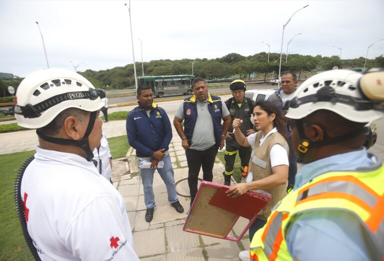 indicaciones a brigadistas para simulacro 