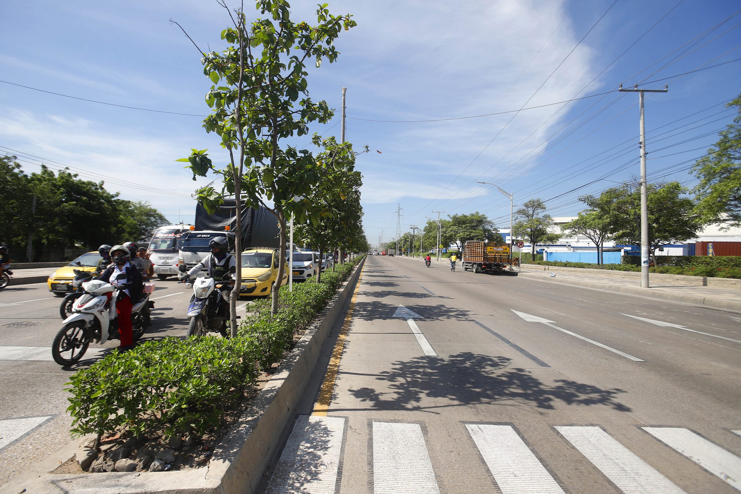 Calle 30 ampliada con boulevar arborizado