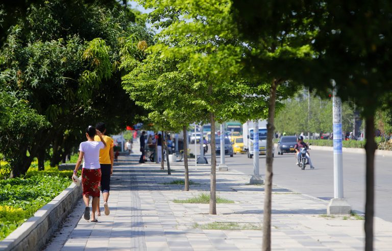 Personas caminando por anden amplio con arboles 