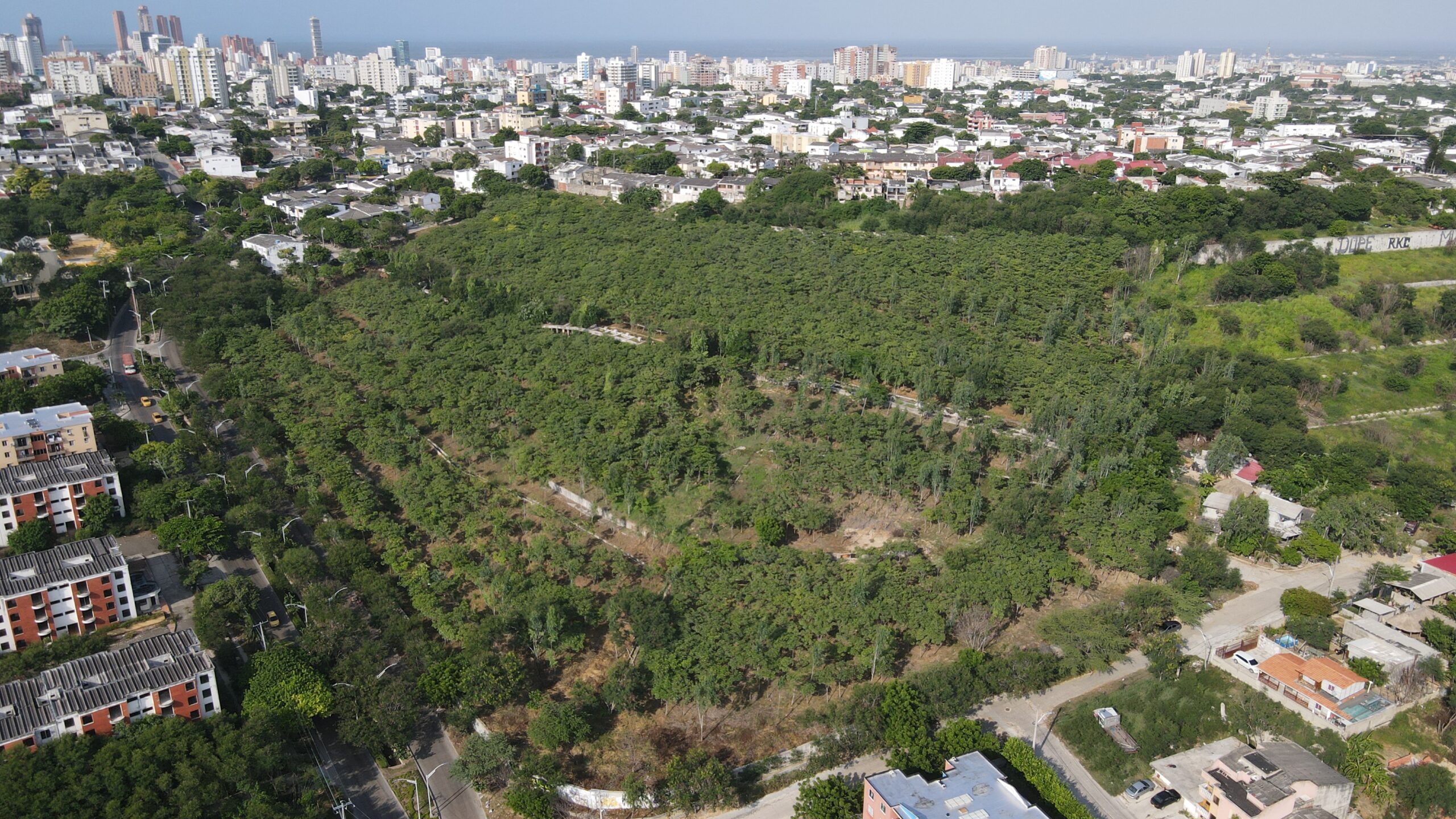 Panorámica Bosques Urbanos