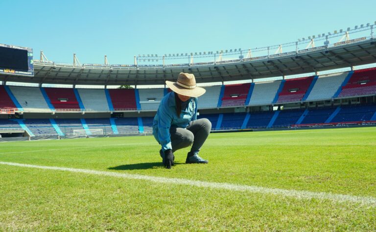 Mujer inspeccionado campo