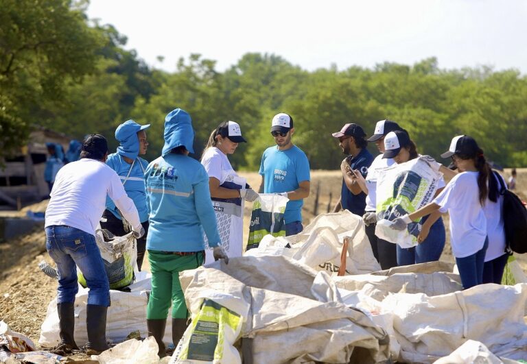 Personas reciclando 