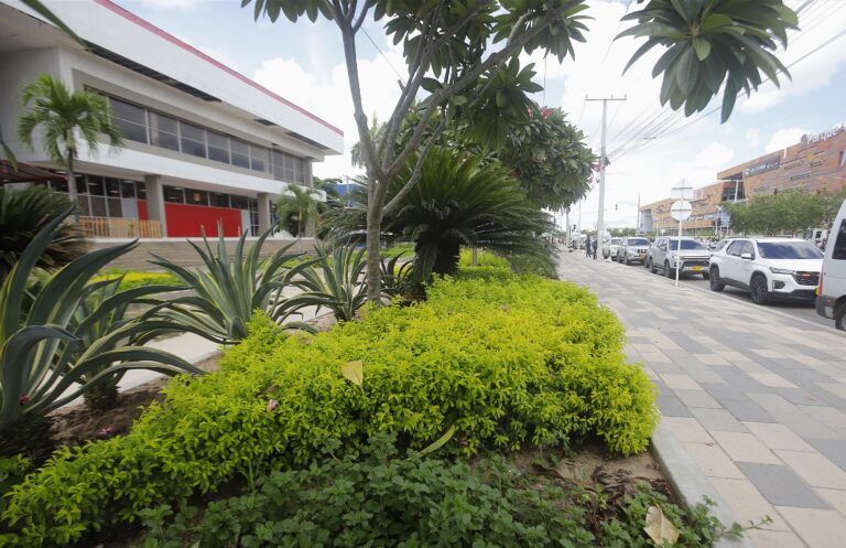 Jardines a un costado de la vía