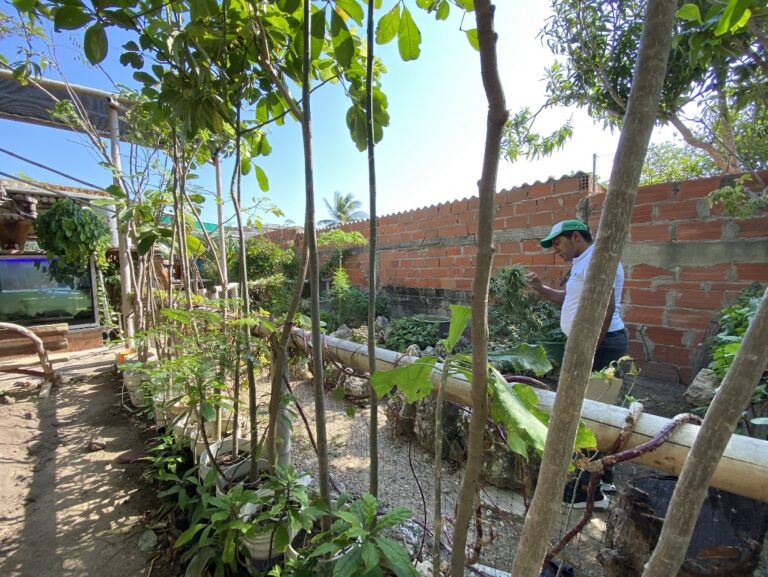 Jardín de Huertas Urbanas en patio de una casa