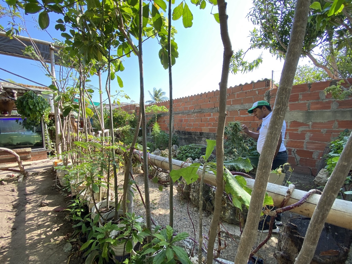 Jardín de Huertas Urbanas en patio de una casa