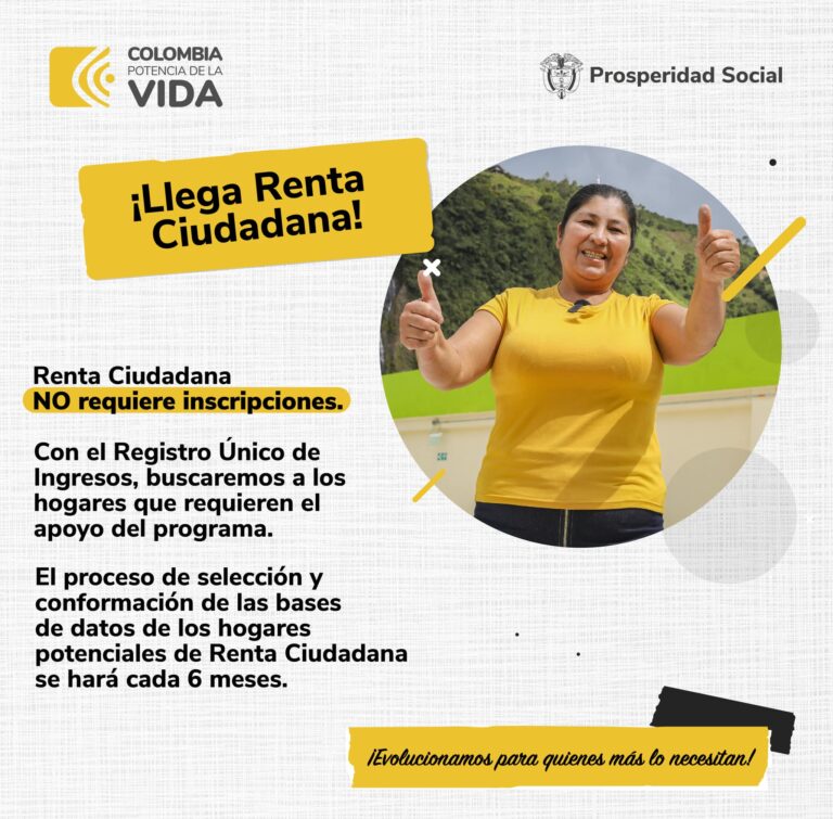 Infografía renta ciudadana.