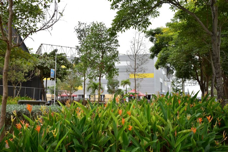 Panorámica de un parque de la ciudad