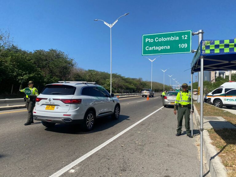 Policías de Tránsito en carretera.