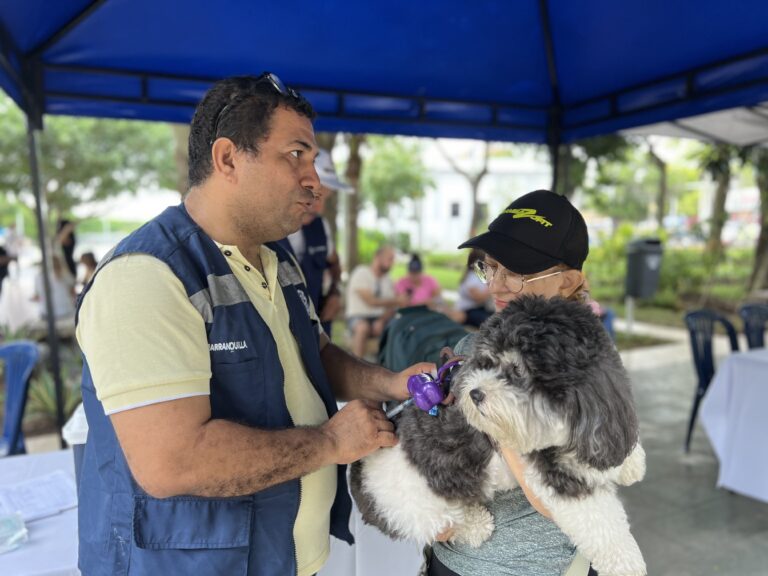 Vacunación de canino en Jornada de Bienestar Animal